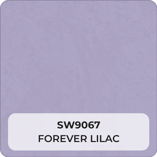 Venetian plaster color swatch SW9067 Forever Lilac Sherwin-Williams
VIOLANTE 