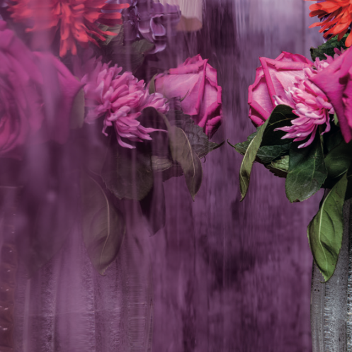 VIOLANTE Grassello Venetian plaster wall reflecting flowers with natural depth and luminosity