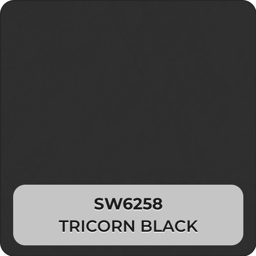 VIOLANTE Venetian plaster color swatch SW6258 Tricorn Black Sherwin-Williams