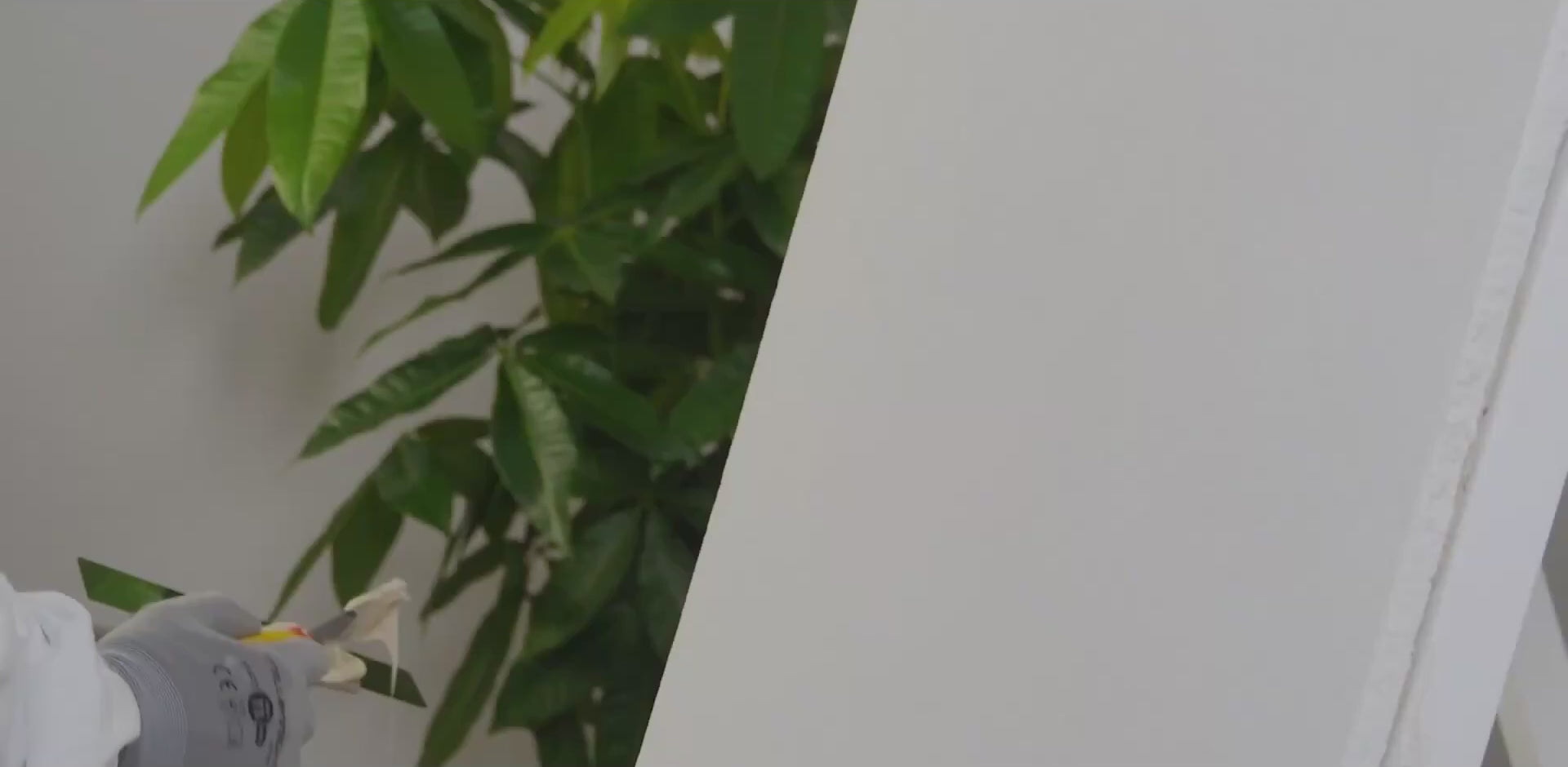 Applying first coat of VIOLANTE Grassello Venetian plaster with stainless steel trowel at 15 degree angle